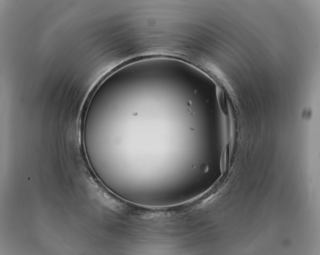 X0000090480892200707201413