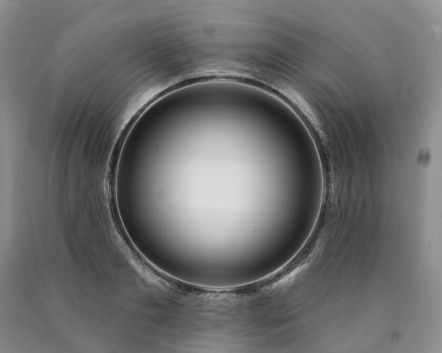 X0000090480893200707201413