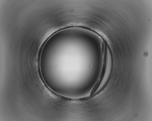 X0000090480894200707201413