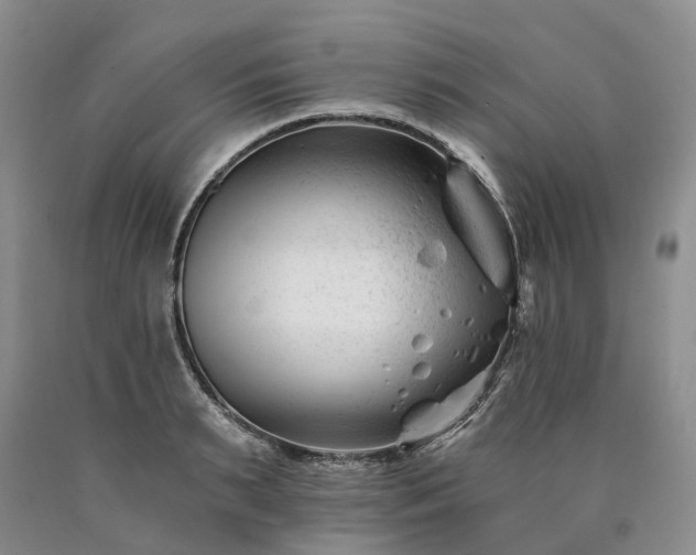 X0000090480895200707201413