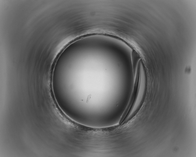 X0000090480896200707201413
