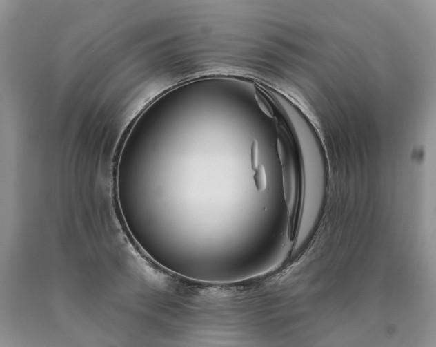 X0000090480898200707201413