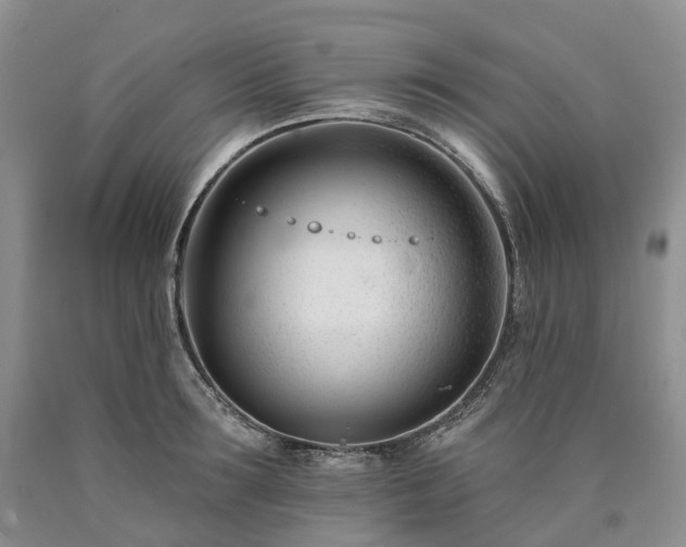 X0000090480899200707201413