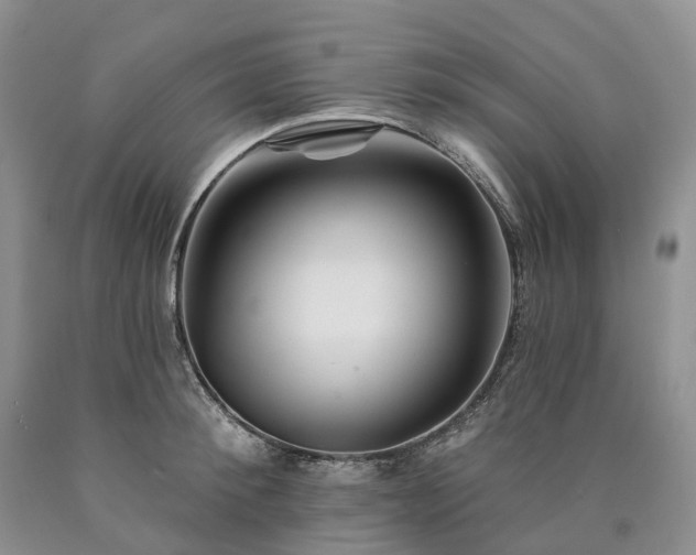 X0000090480900200707201413