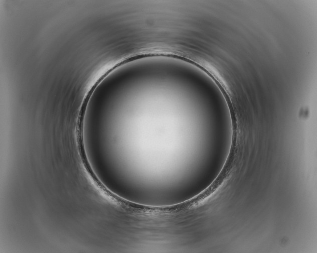 X0000090480901200707201413