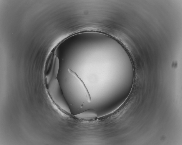X0000090480902200707201413