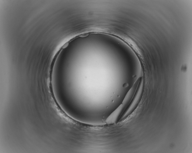 X0000090480904200707201413