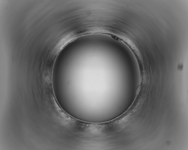 X0000090480905200707201413