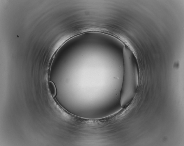 X0000090480906200707201413