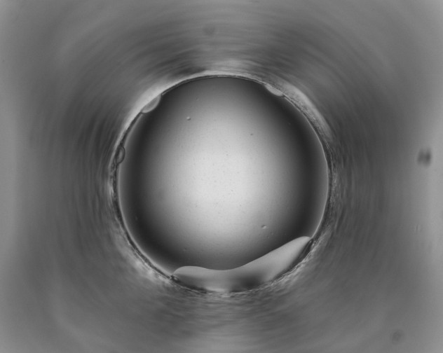 X0000090480908200707201413