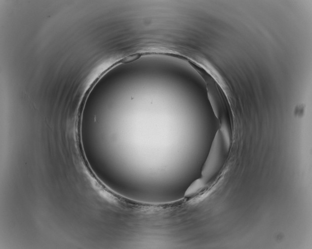 X0000090480909200707201413