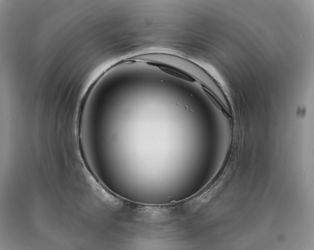 X0000090480910200707201413