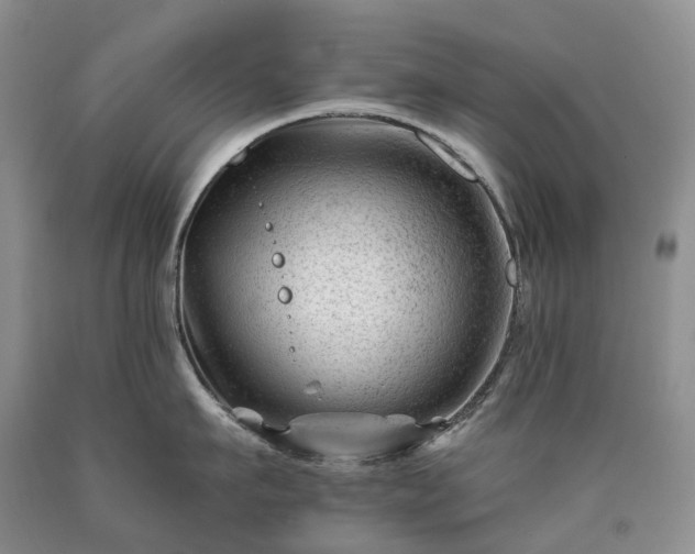 X0000090480911200707201413