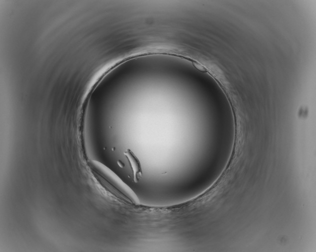 X0000090480912200707201413