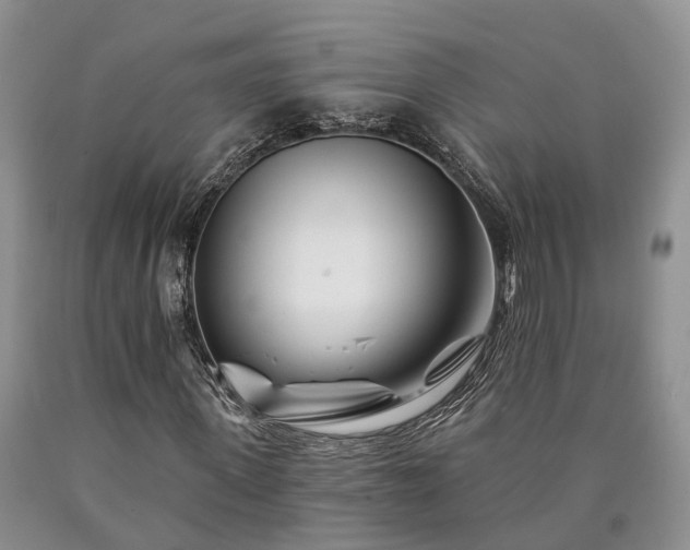 X0000090480915200707201412