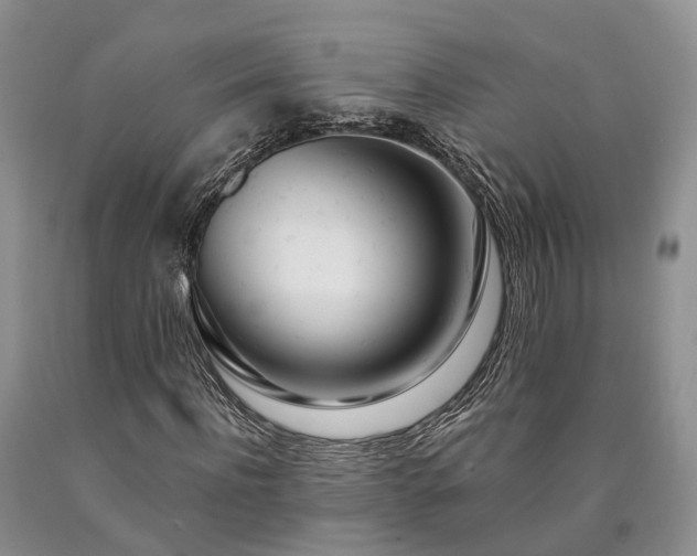 X0000090480916200707201412