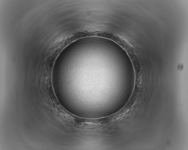 X0000090480917200707201412