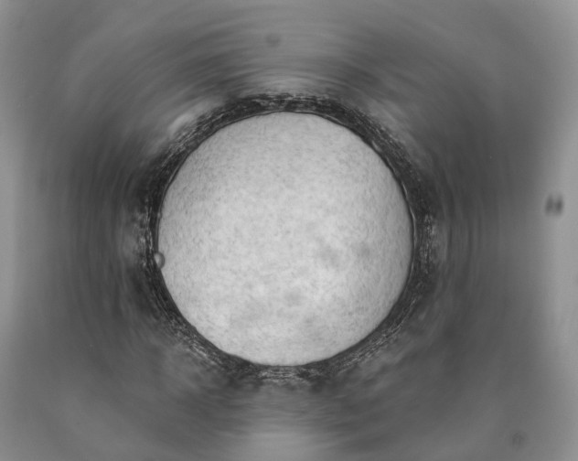 X0000090480918200707201412