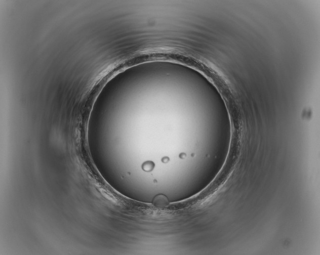X0000090480921200707201412