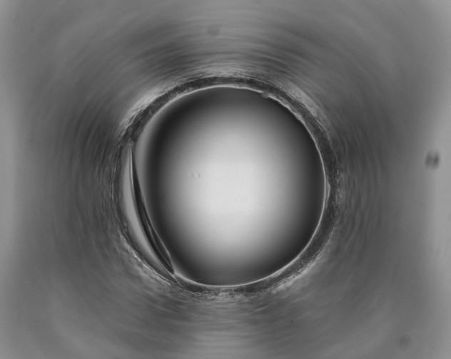 X0000090480922200707201412