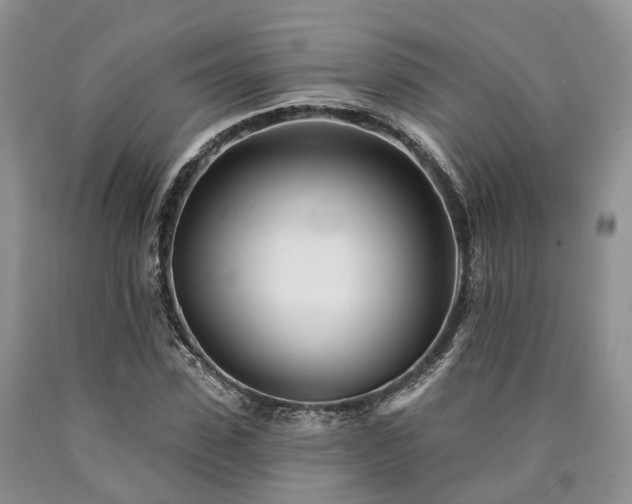 X0000090480923200707201412