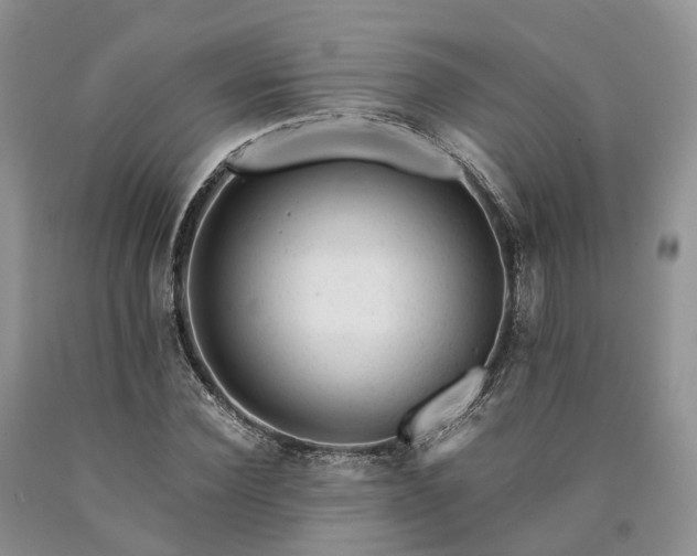 X0000090480924200707201412