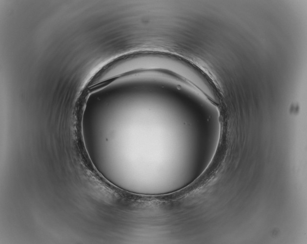 X0000090480926200707201412