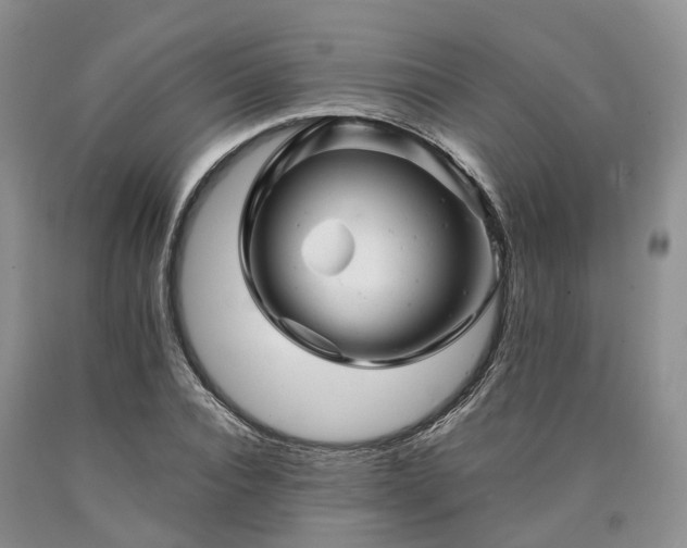 X0000090480928200707201412