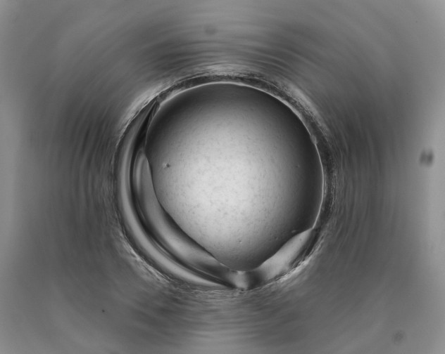 X0000090480930200707201412