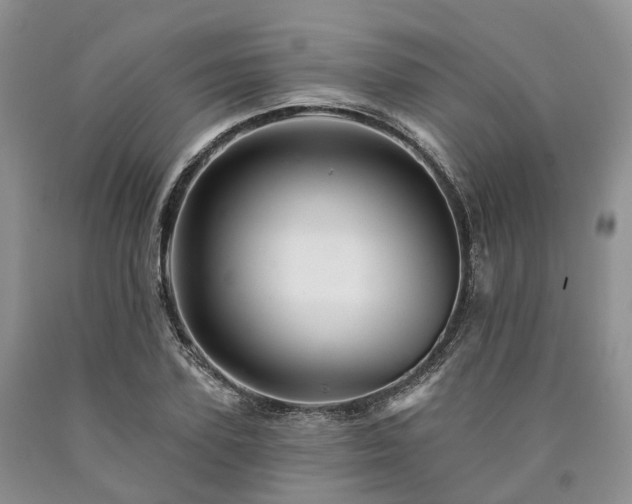 X0000090480931200707201412