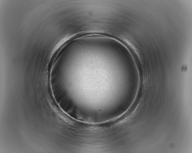 X0000090480933200707201412