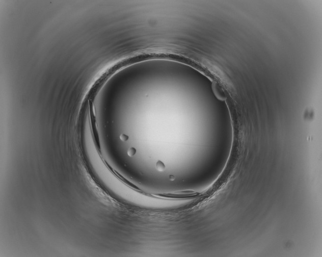 X0000090480934200707201412