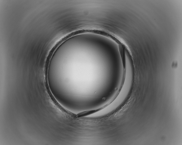 X0000090480935200707201412