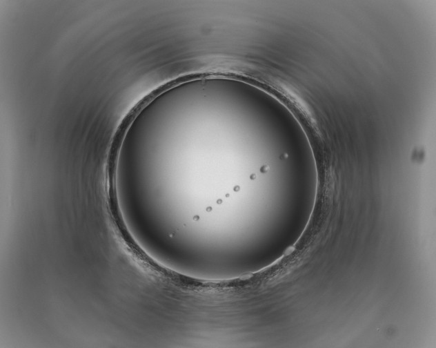 X0000090480936200707201412