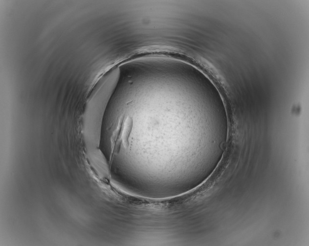 X0000090480937200707201412