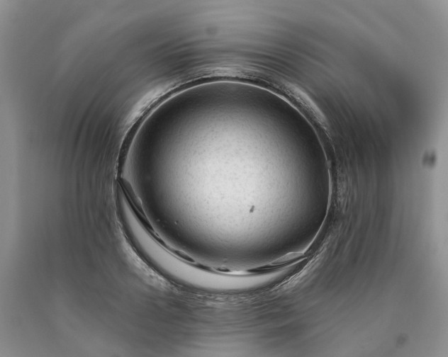 X0000090480938200707201412
