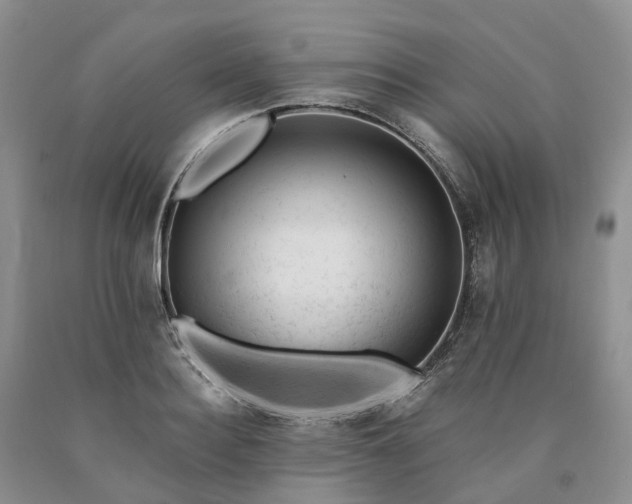 X0000090480940200707201413