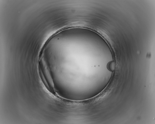 X0000090480941200707201413