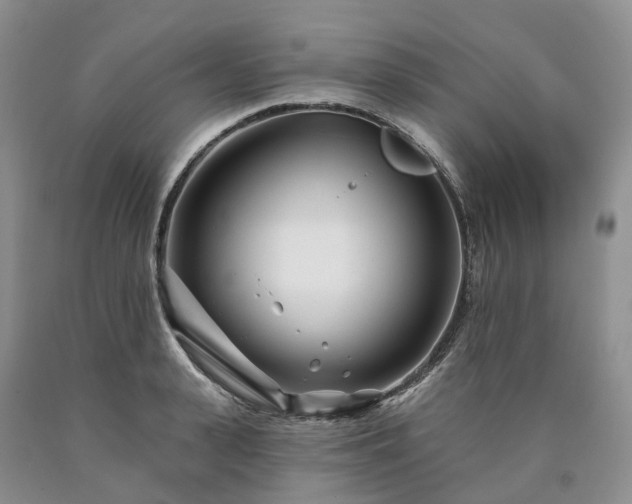 X0000090480943200707201413