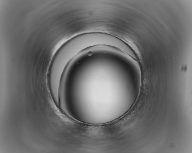X0000090480944200707201413