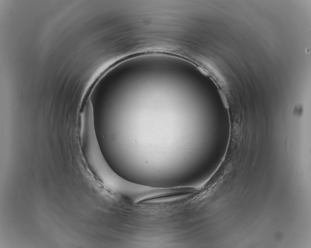 X0000090480948200707201413