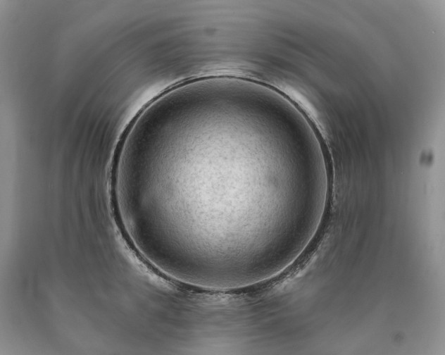X0000090480949200707201413