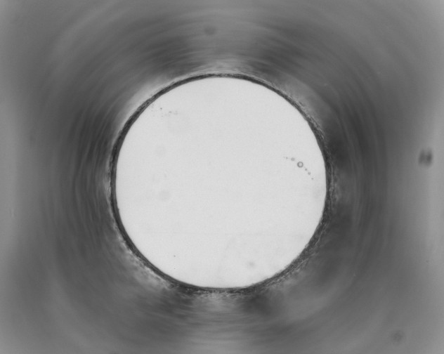 X0000090480950200707201413