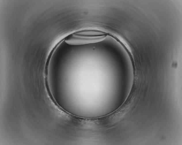 X0000090480951200707201413