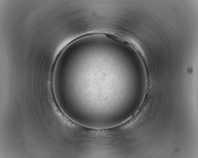 X0000090480952200707201413
