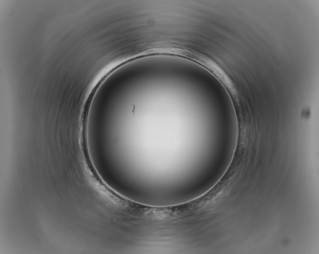 X0000090480955200707201413