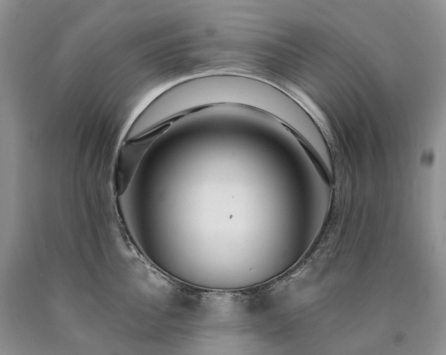 X0000090480956200707201413
