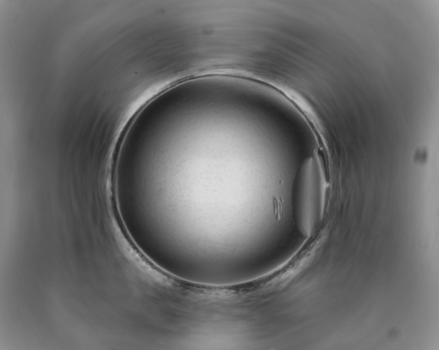 X0000090480957200707201413