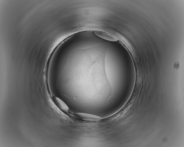 X0000090480958200707201413