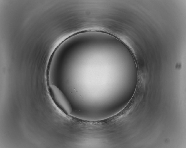 X0000090480959200707201413